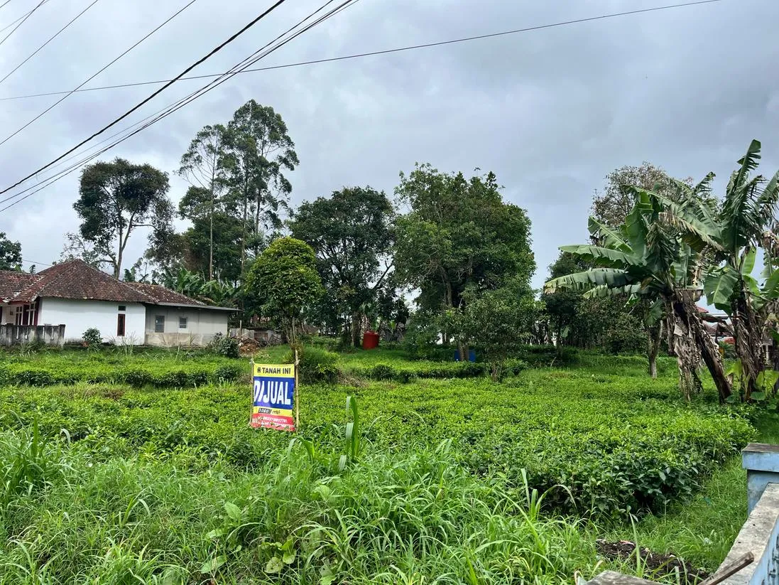 Dijual Tanah Premium Pinggir Jalan Pangalengan – Cocok untuk Vila, Usaha, atau Investasi - Gambar 7