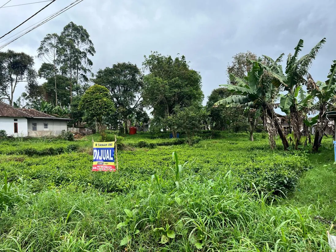 Dijual Tanah Premium Pinggir Jalan Pangalengan – Cocok untuk Vila, Usaha, atau Investasi - Gambar 5